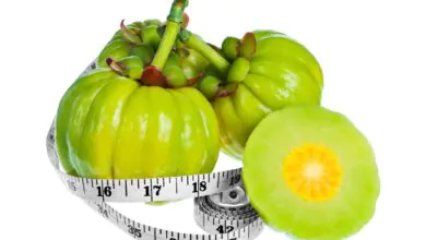 garcinia cambogia فوائد وأضرار